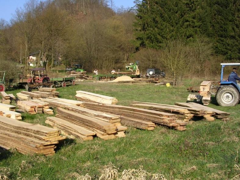 Mobile Brettersäge im Einsatz